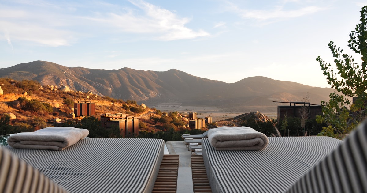 Hotéis Pet Friendly no Brasil: Onde Viajar com Seu Cachorro em 2026